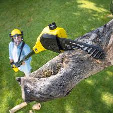 Lawn Grading and Leveling in Coal Valley, IL